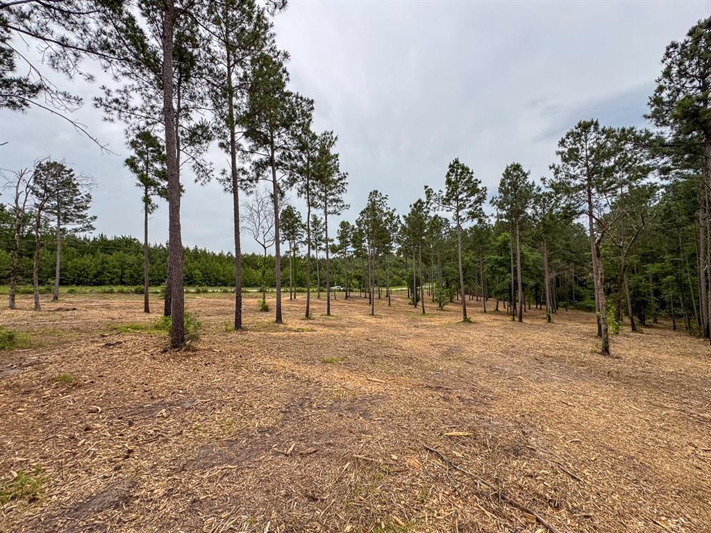 TBD Guerrant Road, Huntsville, Texas image 10