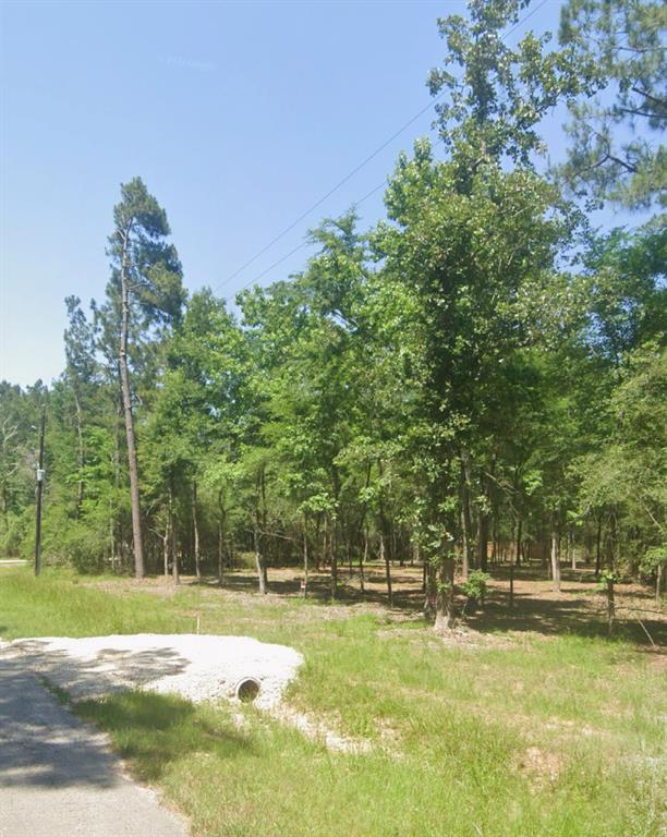 1584 Briar Grove, Magnolia, Texas image 1