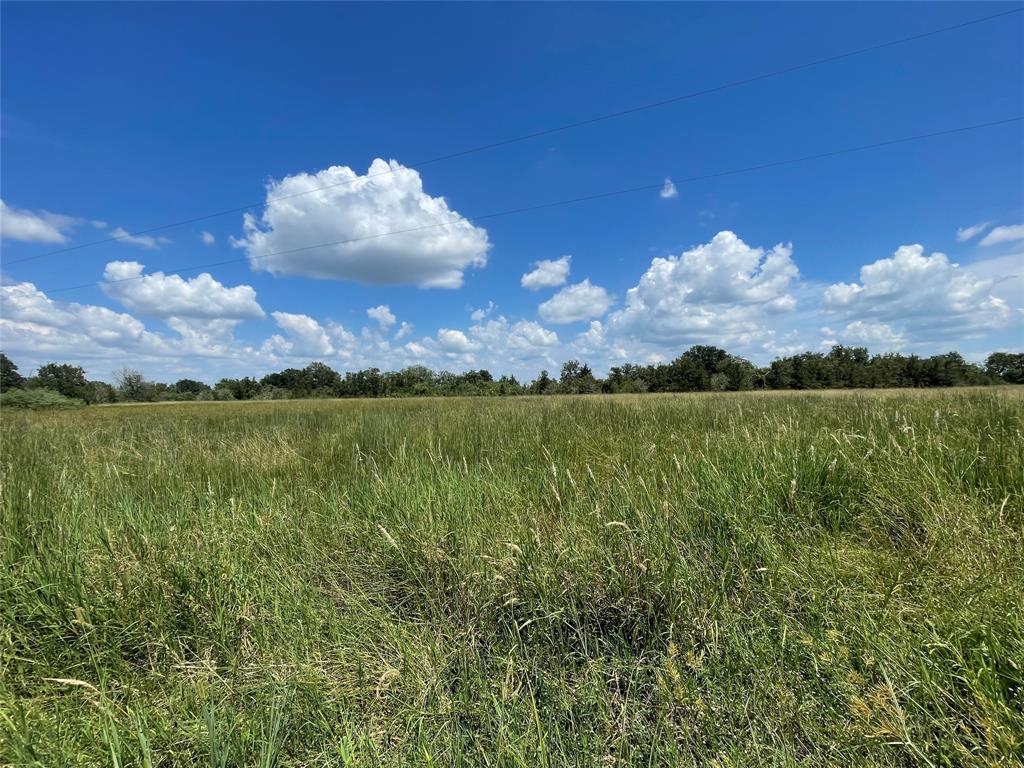 TBD Tx-36/hatton, Wallis, Texas image 1