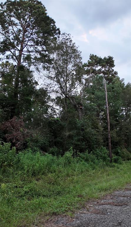 TBD North Essex Drive, Conroe, Texas image 2