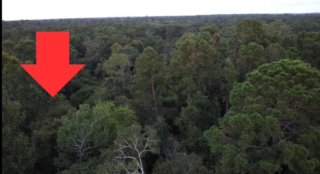 TBD North Essex Drive, Conroe, Texas image 8