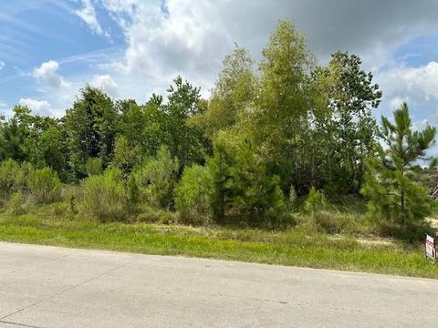 Photo of 578 County Road 5021, Cleveland, TX 77327 (MLS # 19262478)