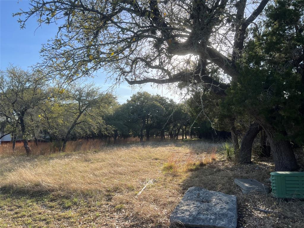 120 Whitewater, Wimberley, Texas image 4