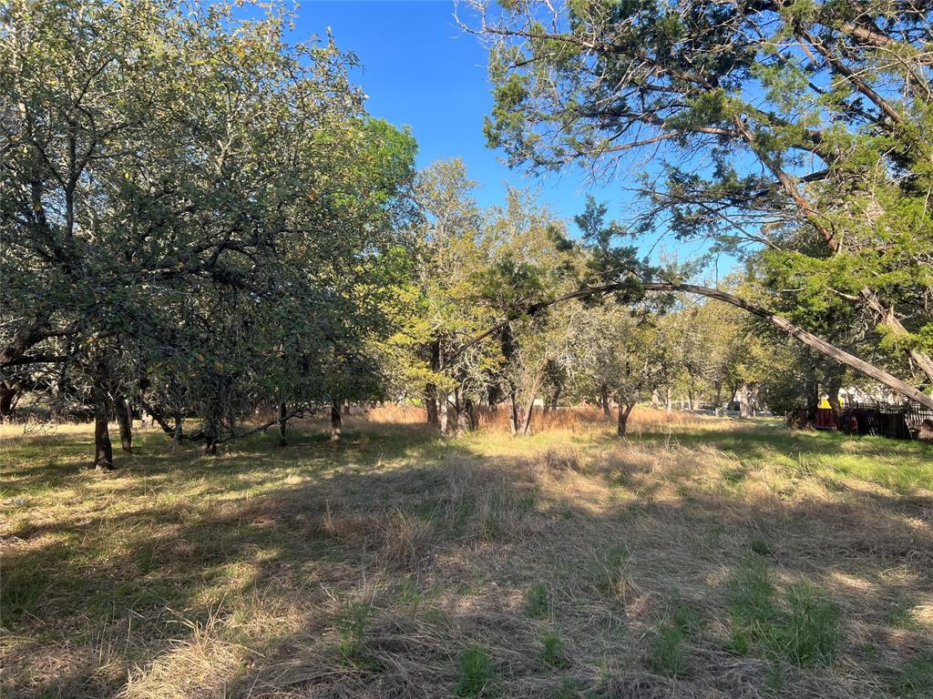 120 Whitewater, Wimberley, Texas image 6