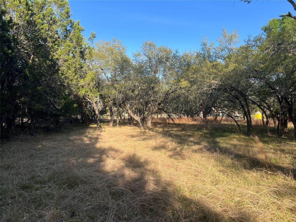 120 Whitewater, Wimberley, Texas image 5