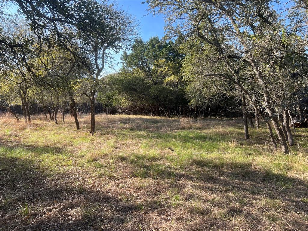 120 Whitewater, Wimberley, Texas image 7