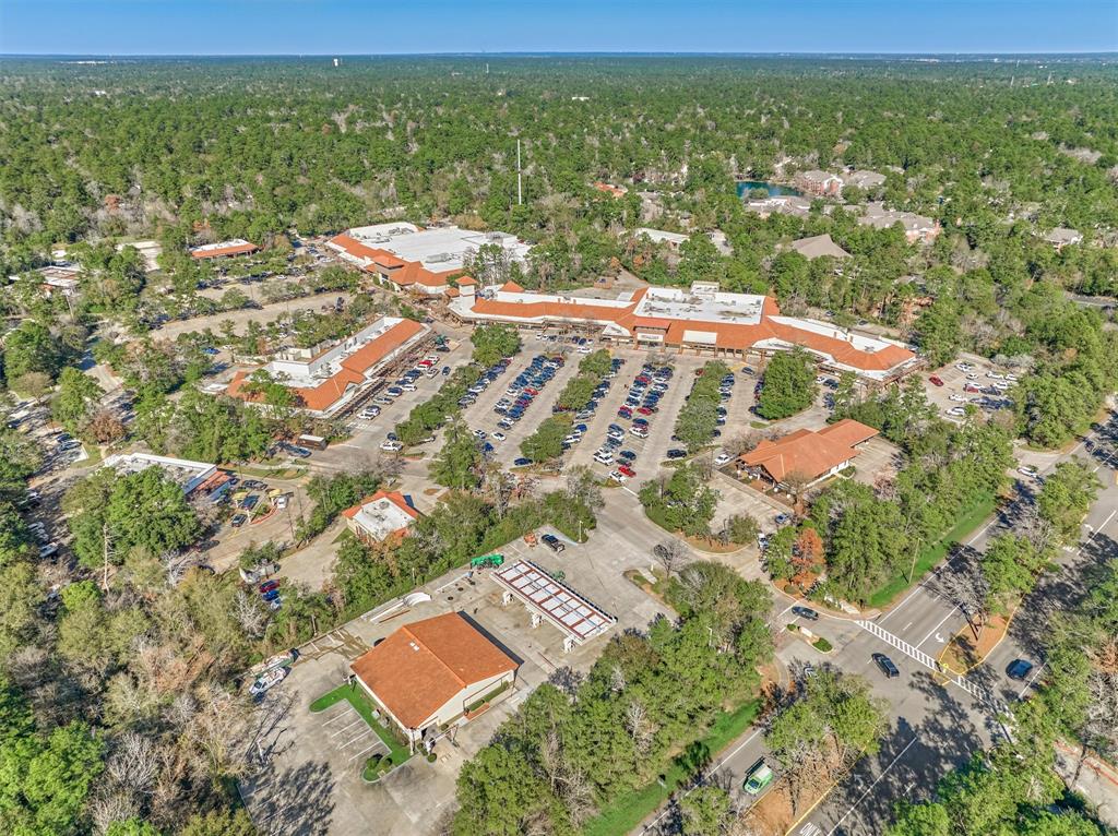 94 S Magnolia Pond Place, The Woodlands, Texas image 43