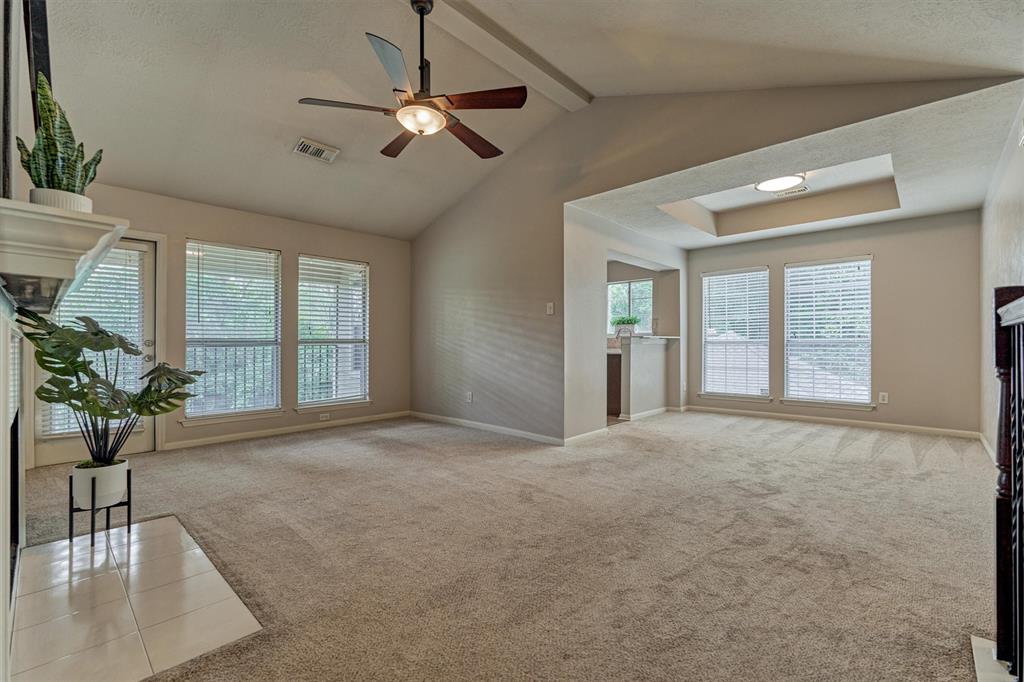 94 S Magnolia Pond Place, The Woodlands, Texas image 15