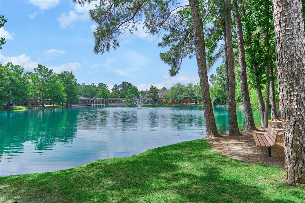 94 S Magnolia Pond Place, The Woodlands, Texas image 31