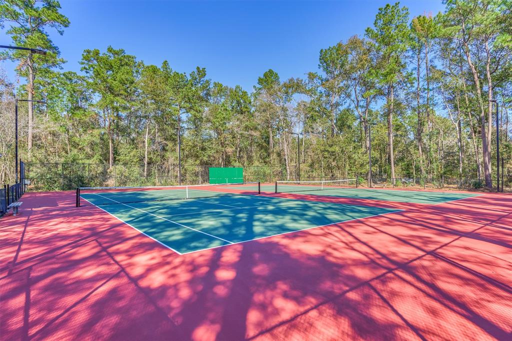 94 S Magnolia Pond Place, The Woodlands, Texas image 37