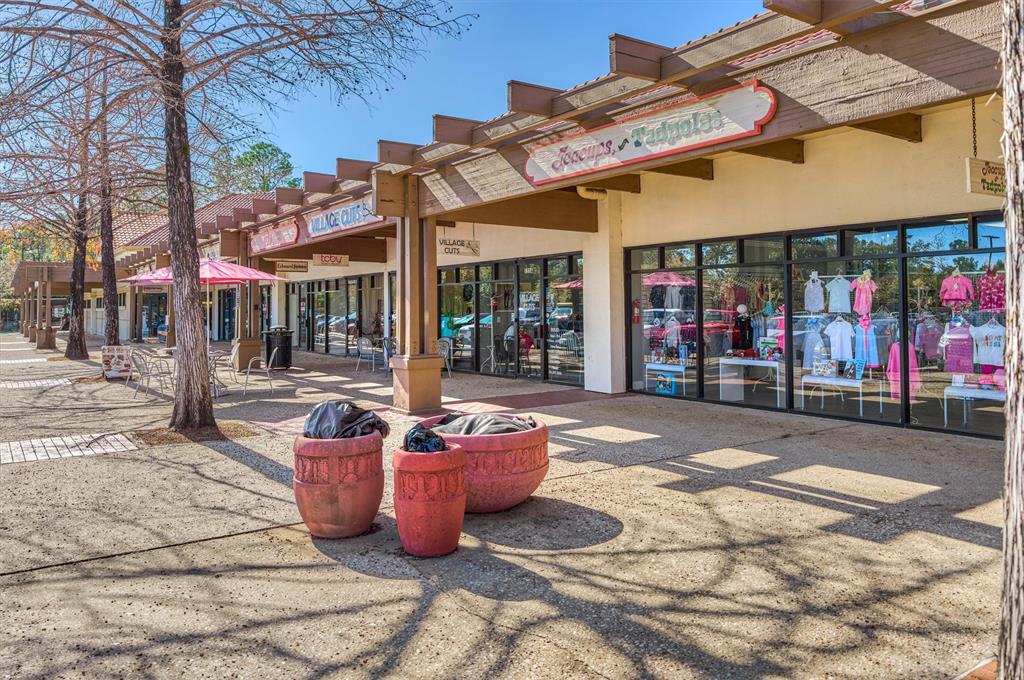94 S Magnolia Pond Place, The Woodlands, Texas image 44