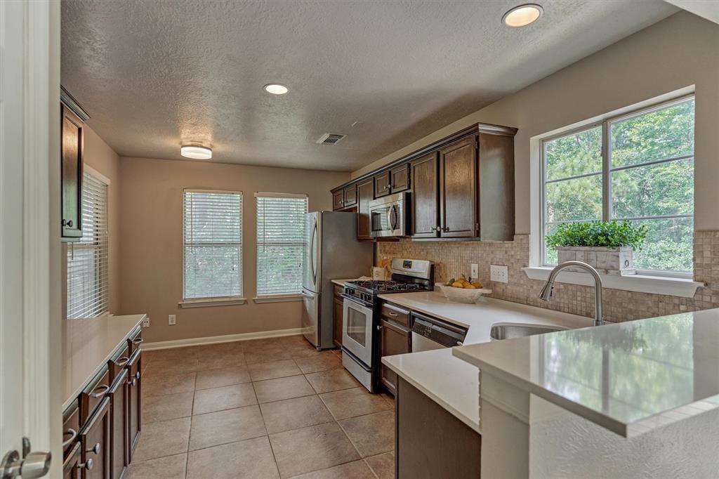 94 S Magnolia Pond Place, The Woodlands, Texas image 8