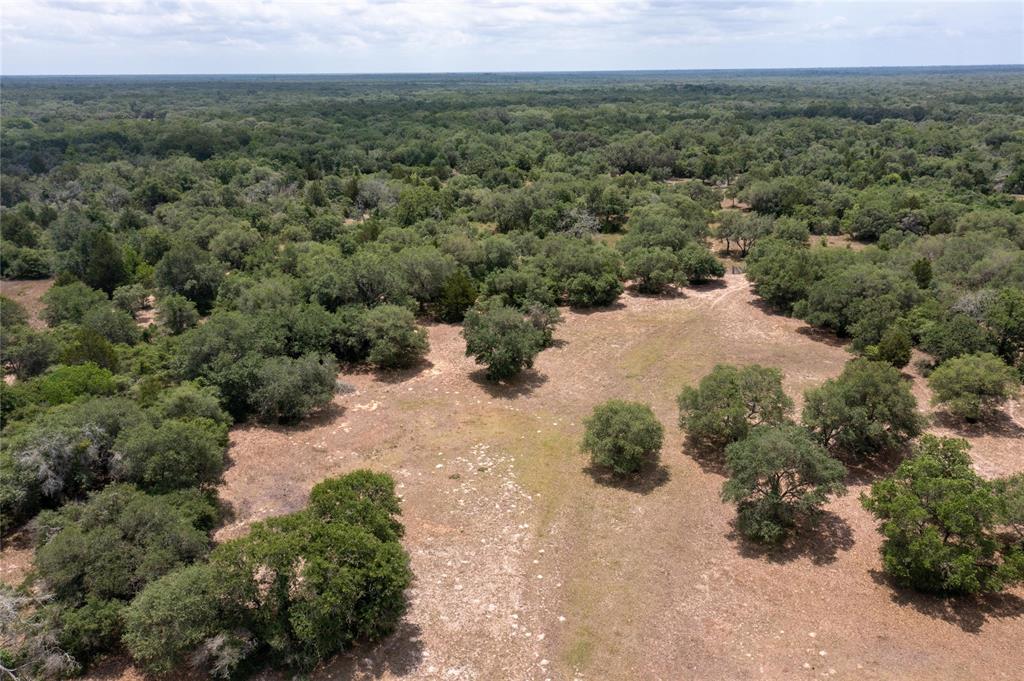 1152 Big Buck Drive, Weimar, Texas image 19