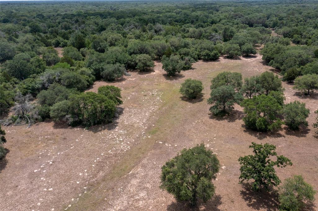1152 Big Buck Drive, Weimar, Texas image 17