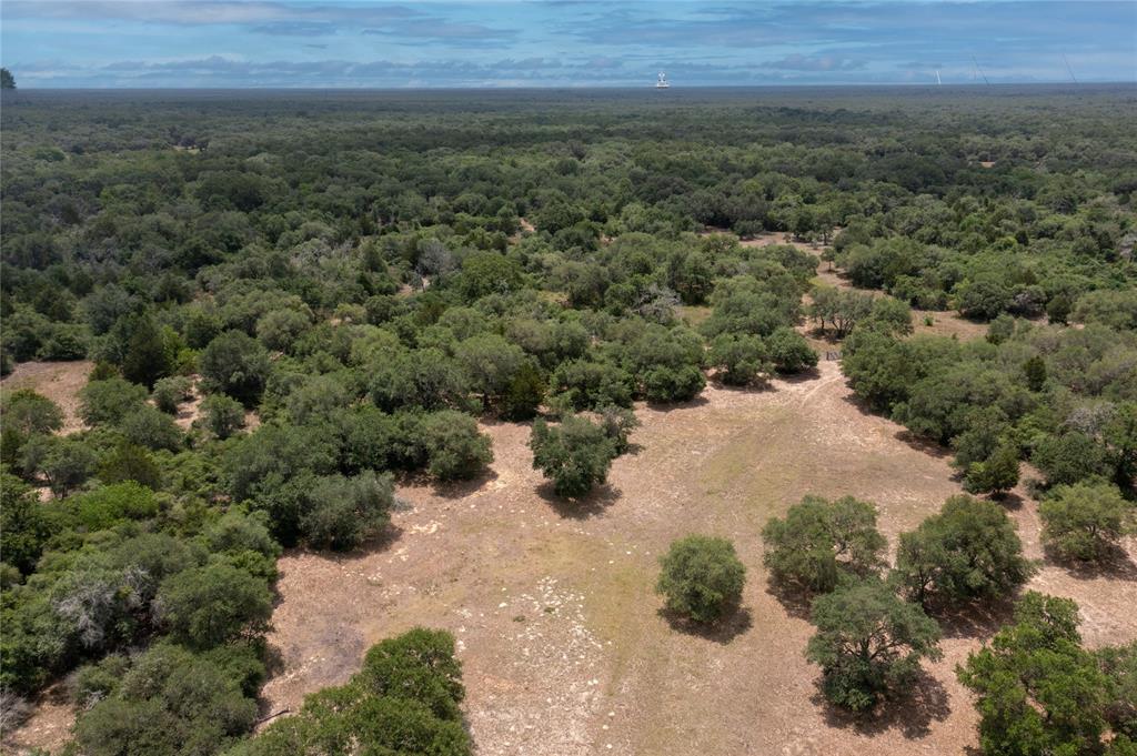 1152 Big Buck Drive, Weimar, Texas image 21