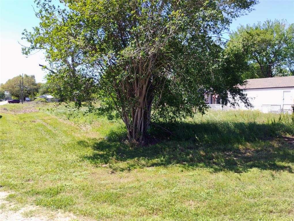 3703 1st Street, Brookshire, Texas image 4