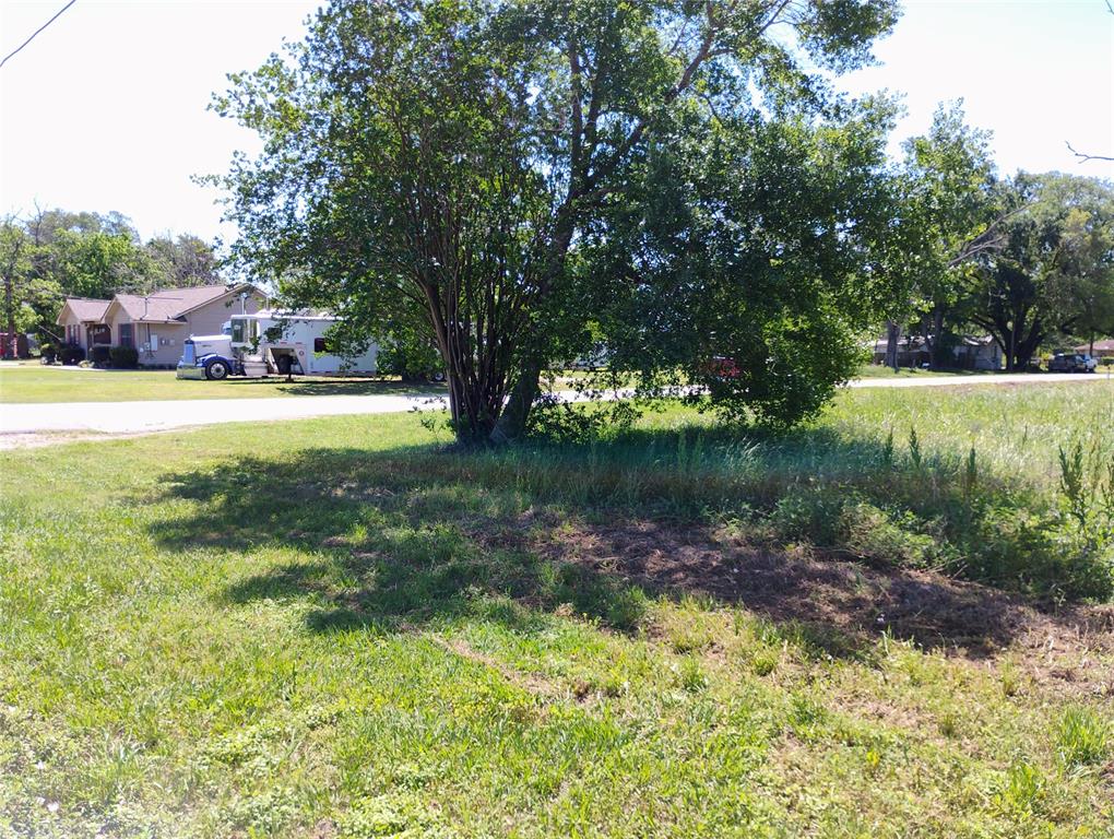 3703 1st Street, Brookshire, Texas image 3