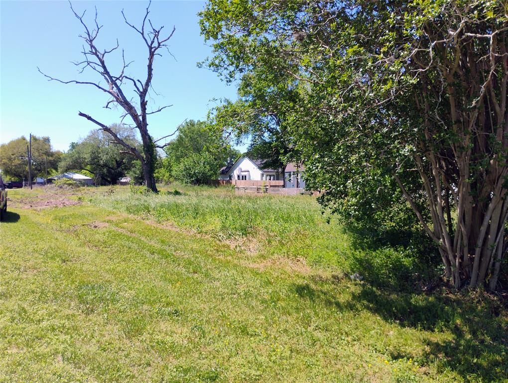 3703 1st Street, Brookshire, Texas image 6