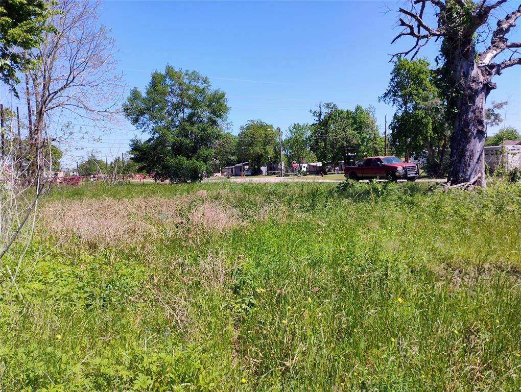 3703 1st Street, Brookshire, Texas image 7