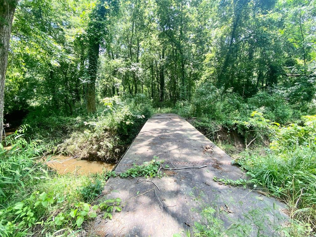 2100 Buckhorn Creek Drive, Crockett, Texas image 12