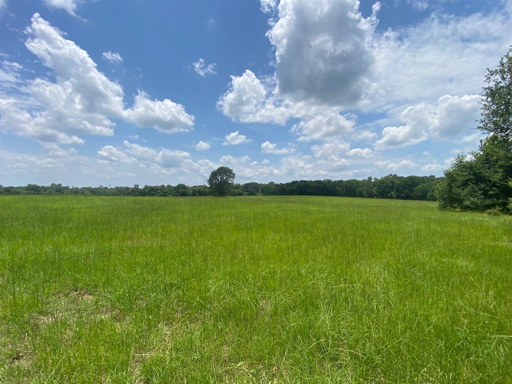 2100 Buckhorn Creek Drive, Crockett, Texas image 9