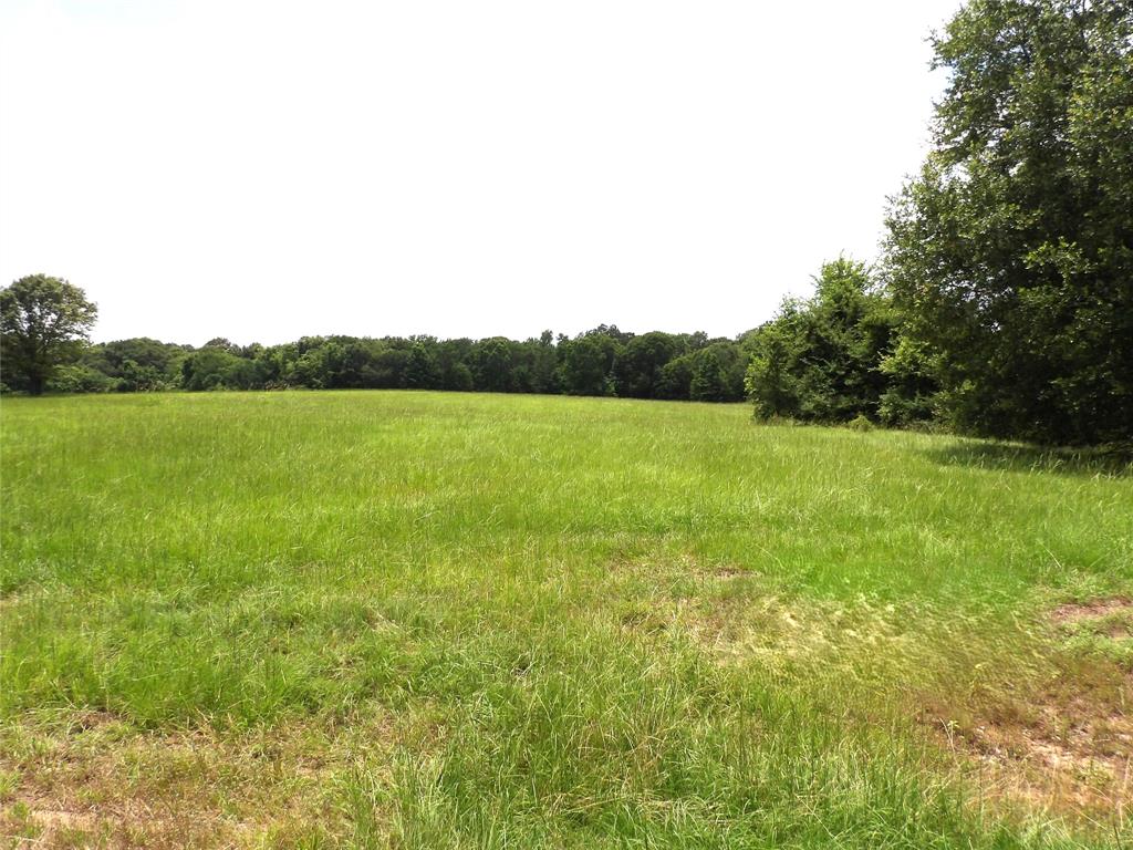 2100 Buckhorn Creek Drive, Crockett, Texas image 17