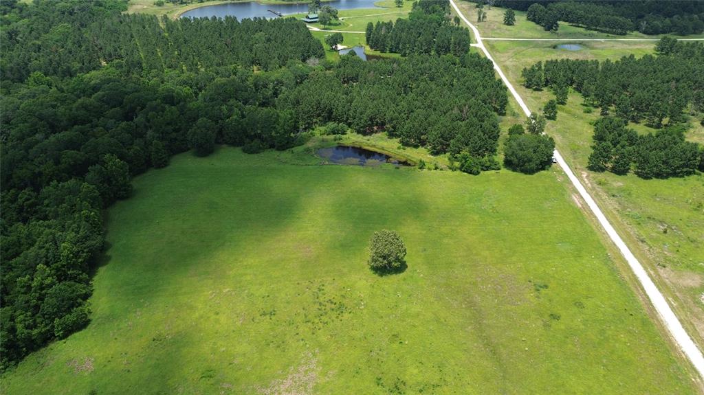 2100 Buckhorn Creek Drive, Crockett, Texas image 2