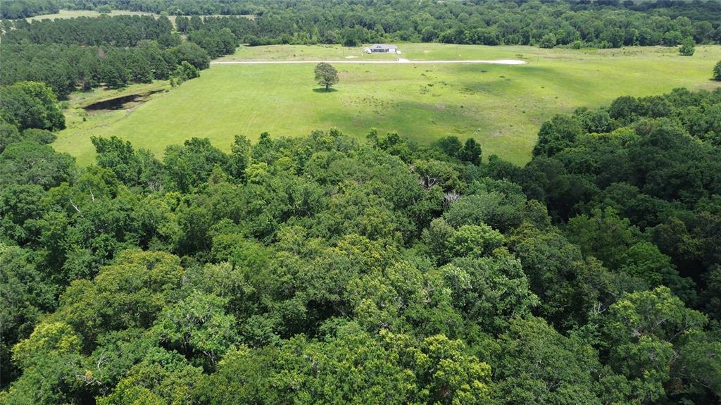 2100 Buckhorn Creek Drive, Crockett, Texas image 5