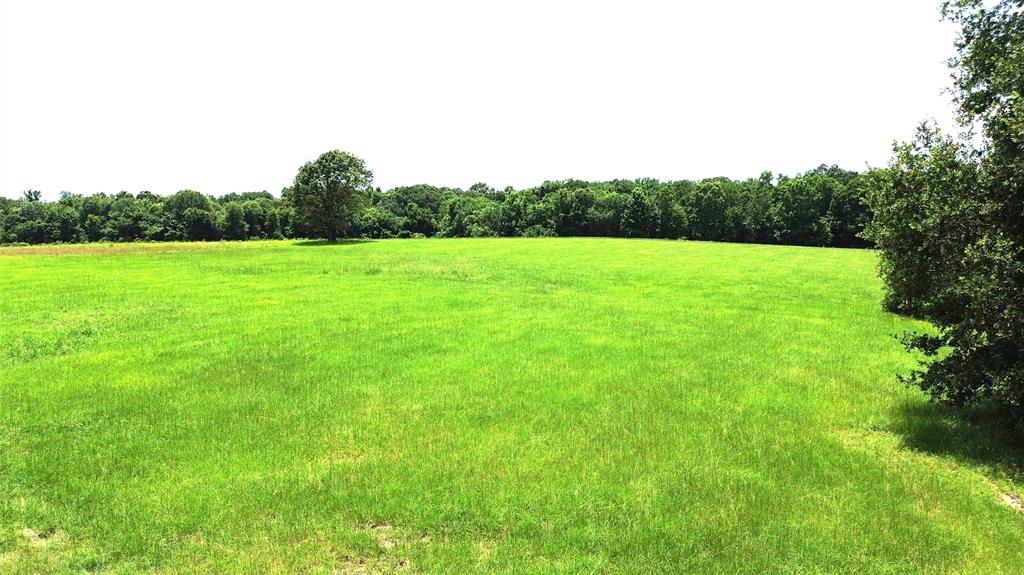 2100 Buckhorn Creek Drive, Crockett, Texas image 18