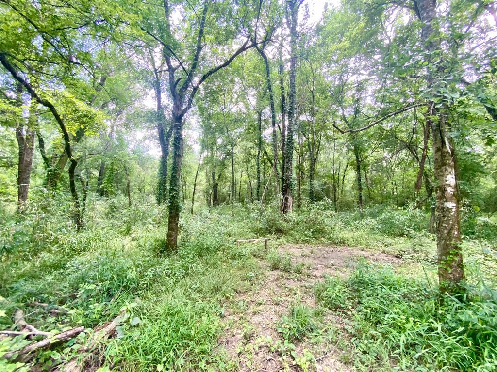 2100 Buckhorn Creek Drive, Crockett, Texas image 14