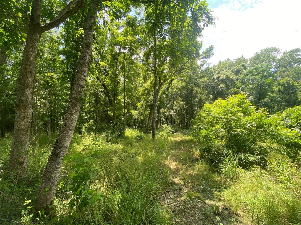 2100 Buckhorn Creek Drive, Crockett, Texas image 11