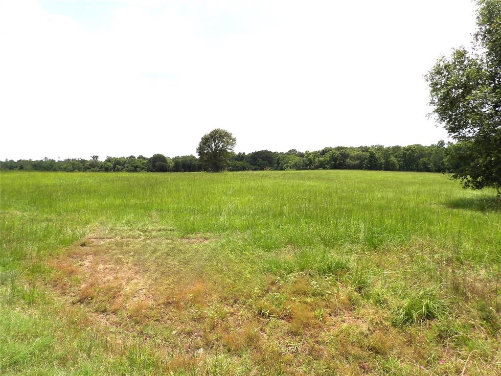 2100 Buckhorn Creek Drive, Crockett, Texas image 15