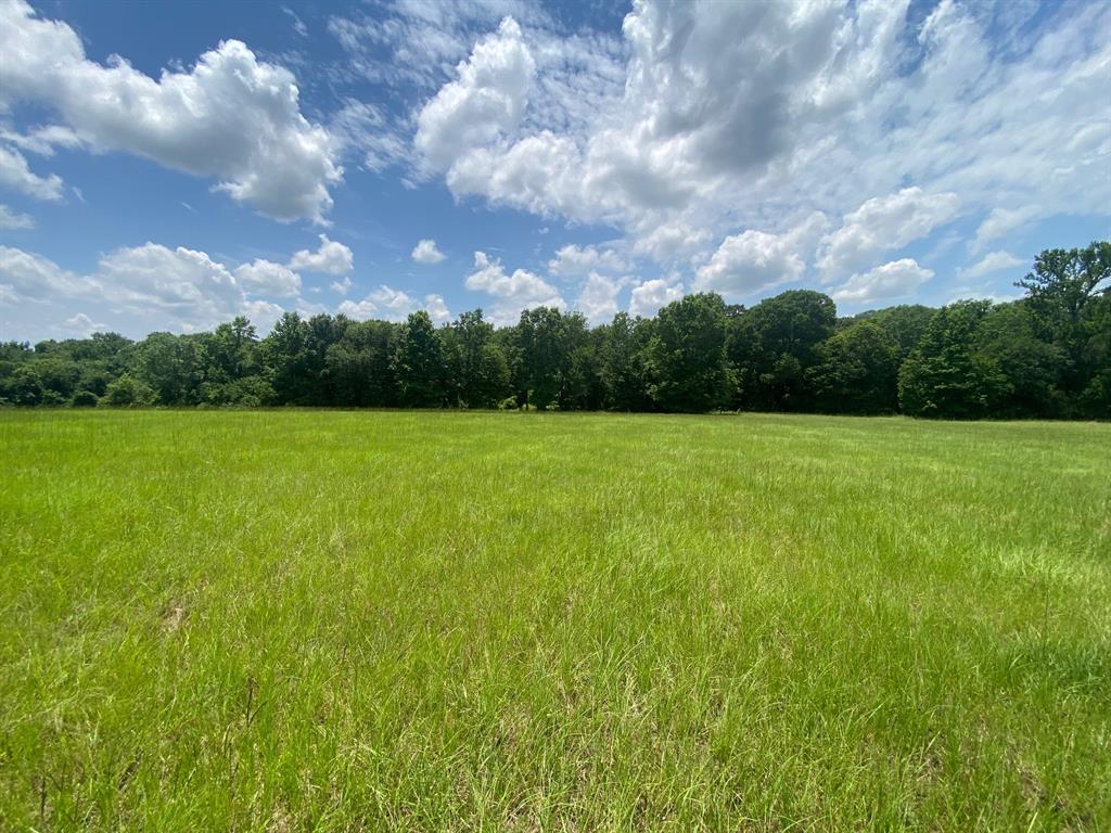 2100 Buckhorn Creek Drive, Crockett, Texas image 3