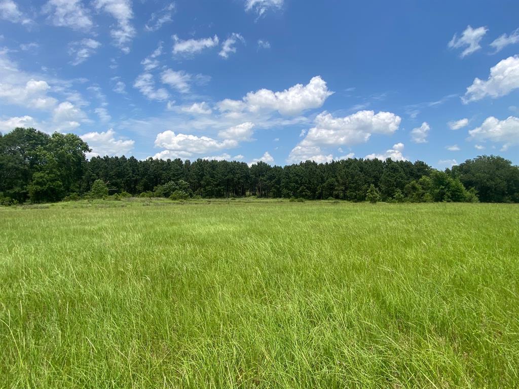 2100 Buckhorn Creek Drive, Crockett, Texas image 7