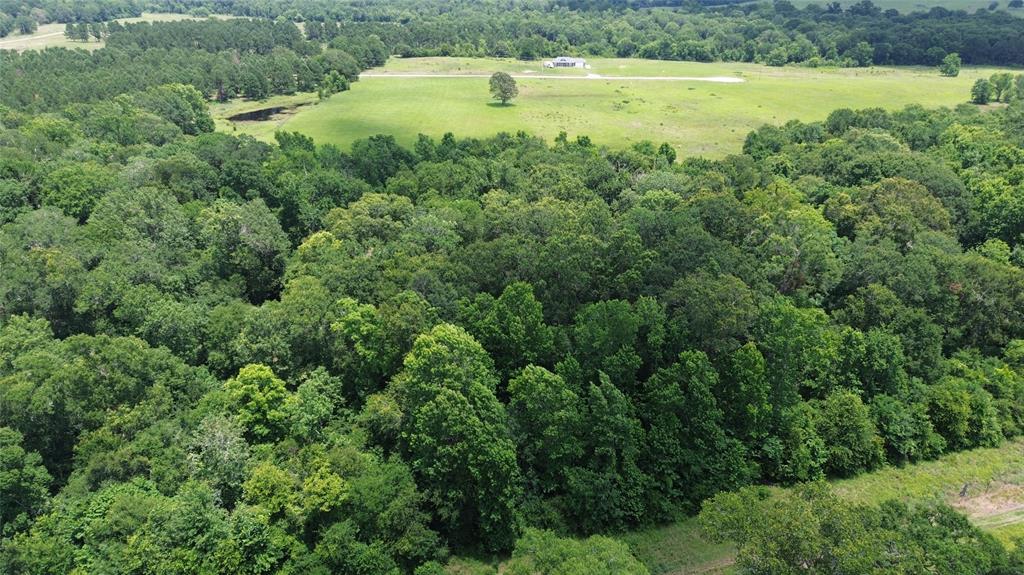 2100 Buckhorn Creek Drive, Crockett, Texas image 10
