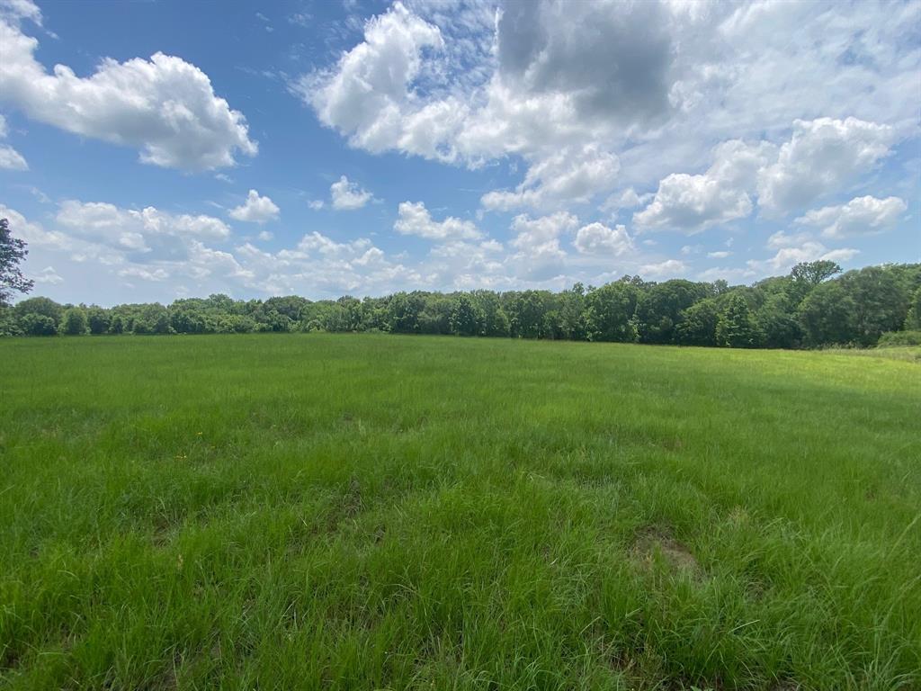 2100 Buckhorn Creek Drive, Crockett, Texas image 6