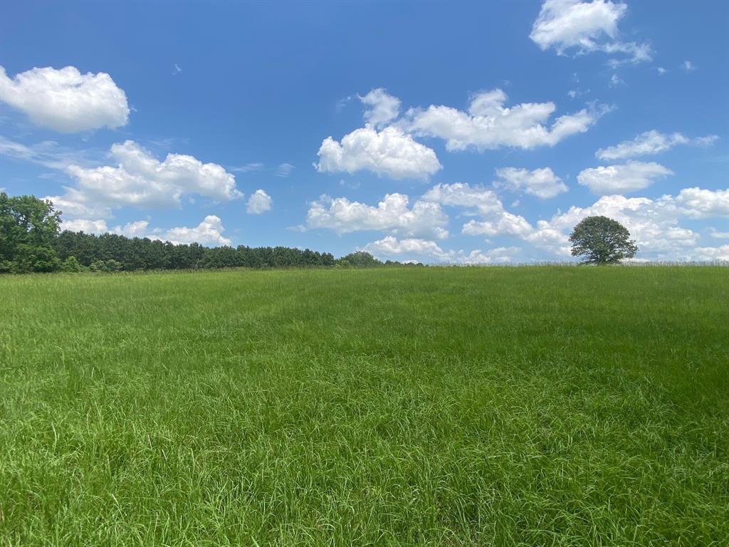 2100 Buckhorn Creek Drive, Crockett, Texas image 1