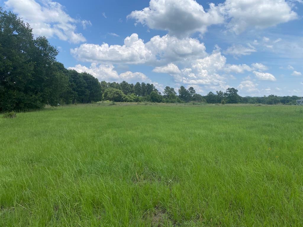 2100 Buckhorn Creek Drive, Crockett, Texas image 8