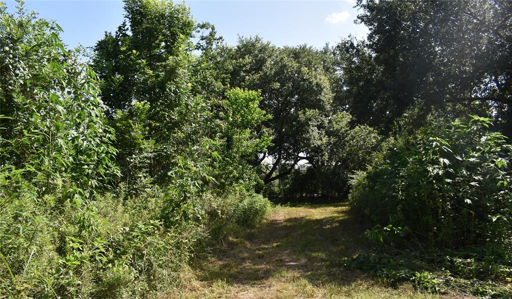 3511 Old Massey Ranch Road