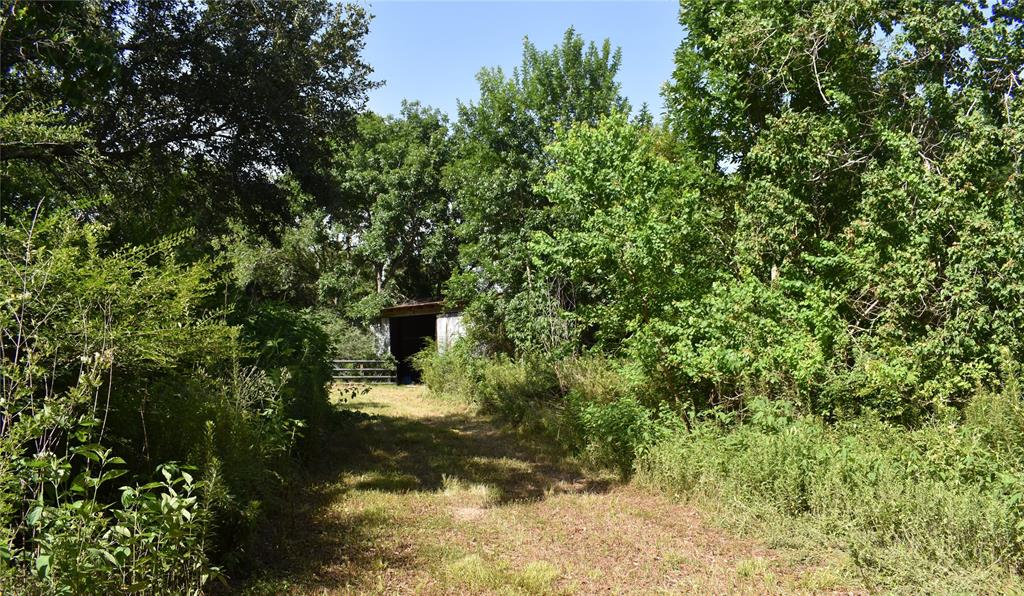 3511 Old Massey Ranch Road