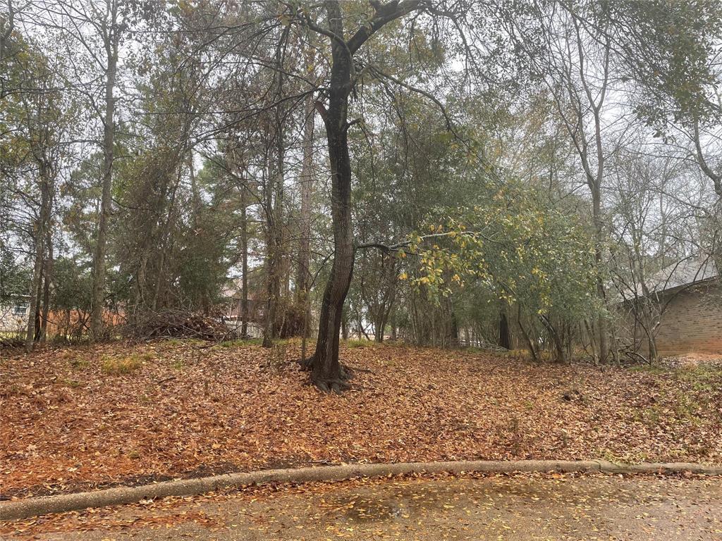 3503 Woodland Lane
