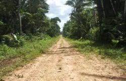 5,243 Acres - Rancho Dolores Village - Belize