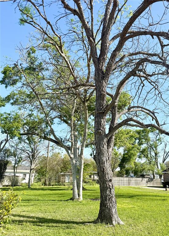 1113 E Cedar Street, Angleton, Texas image 3