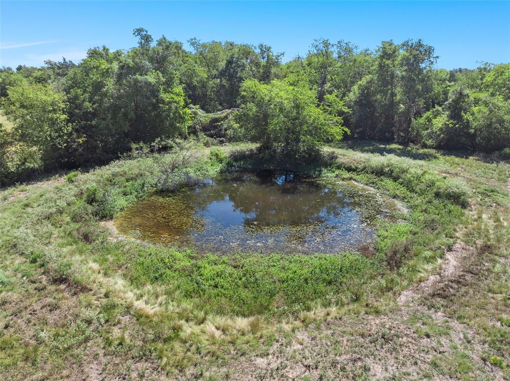 TBD Fm 1246, Thornton, Texas image 9