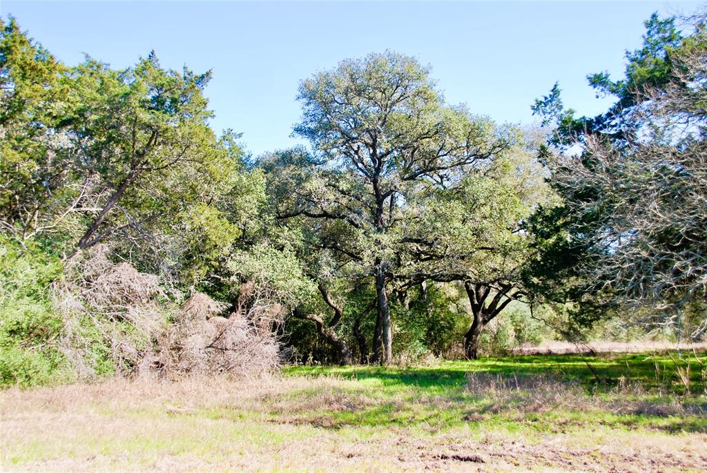 2574 County Road 285, Moulton, Texas image 31