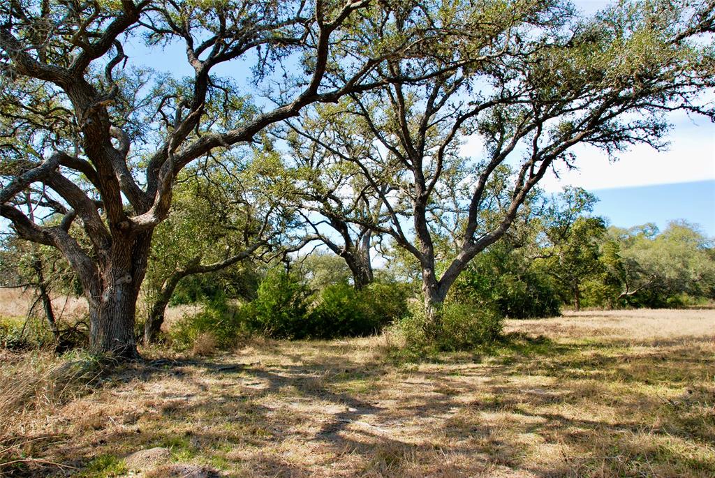 2574 County Road 285, Moulton, Texas image 24