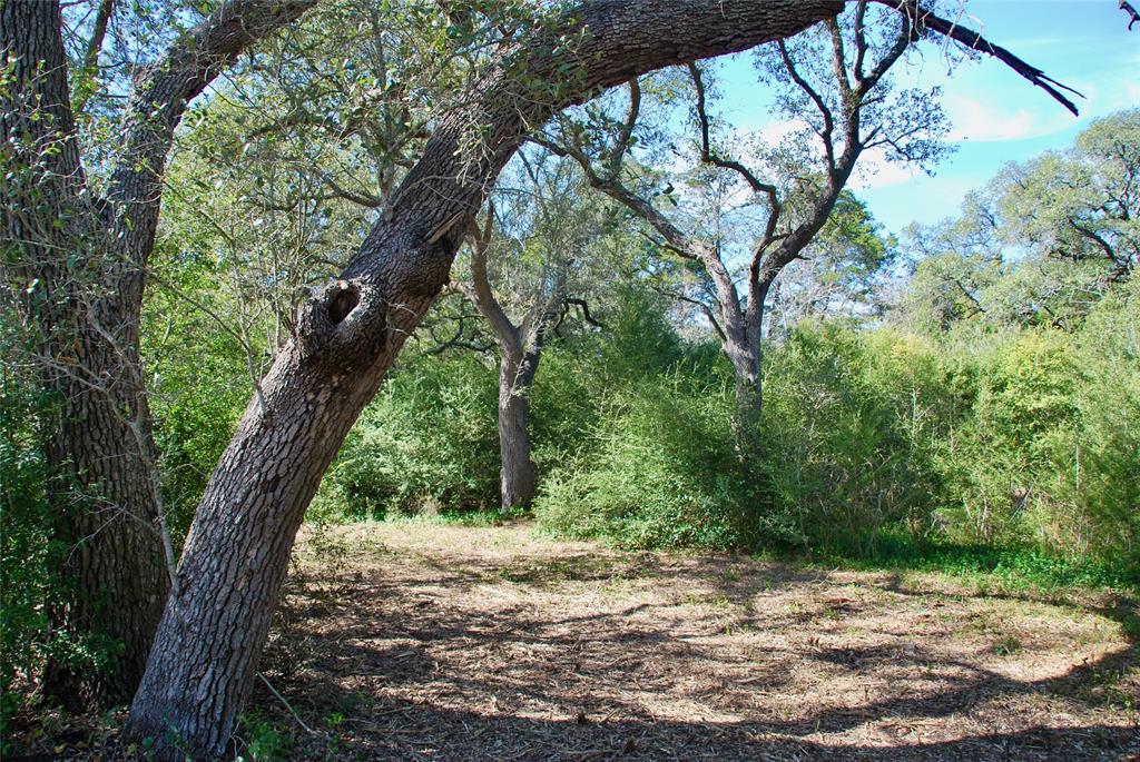 2574 County Road 285, Moulton, Texas image 28