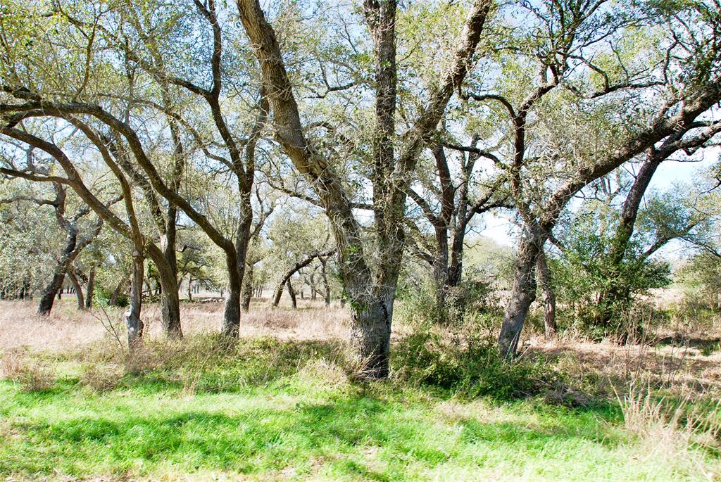 2574 County Road 285, Moulton, Texas image 25