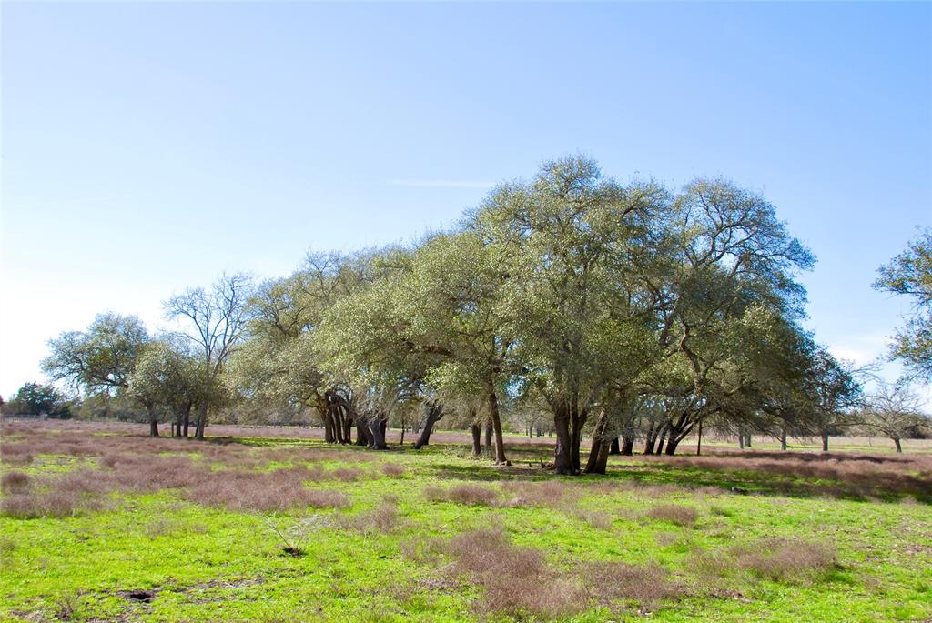 2574 County Road 285, Moulton, Texas image 30