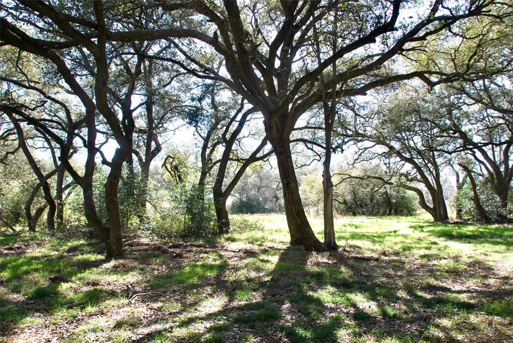 2574 County Road 285, Moulton, Texas image 32